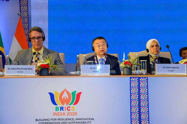 胡静林出席2026年金砖国家税务局长会议